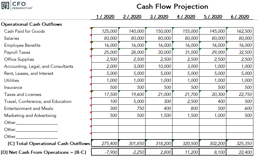 projected cash flow statement