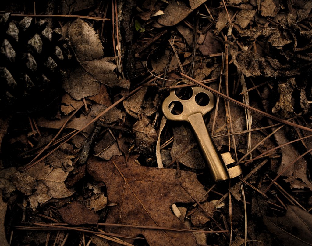 Gold key on forest floor
