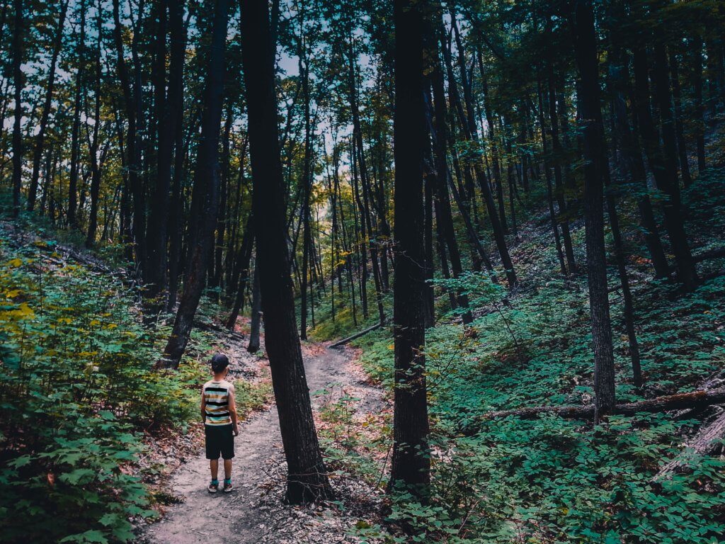 Boy at the beginning of a path in the woods looking lost. 